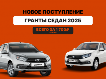 Новые Гранты 2025 в Бери Рули